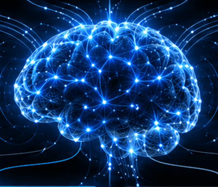 Dayzero Enterprise Intelligence